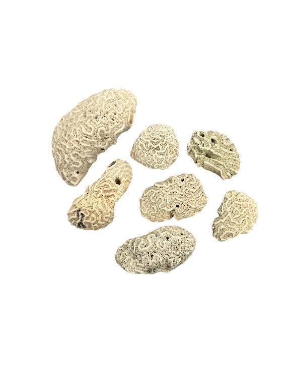 Ota San Lazaro Piedras Stone Nanu Nana Buruku Babaluaye ifa santeria Santo