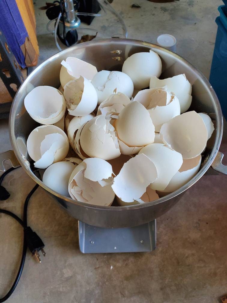 3 Cascarilla Preparada Efun Santeria Ifa Osha Palo Egun Santo Prenda