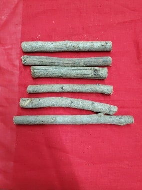 6 Palo BUENA SUERTE Santeria Palo Prenda