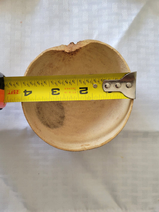 6 Jicaras small Santeria Osha Santo Palo