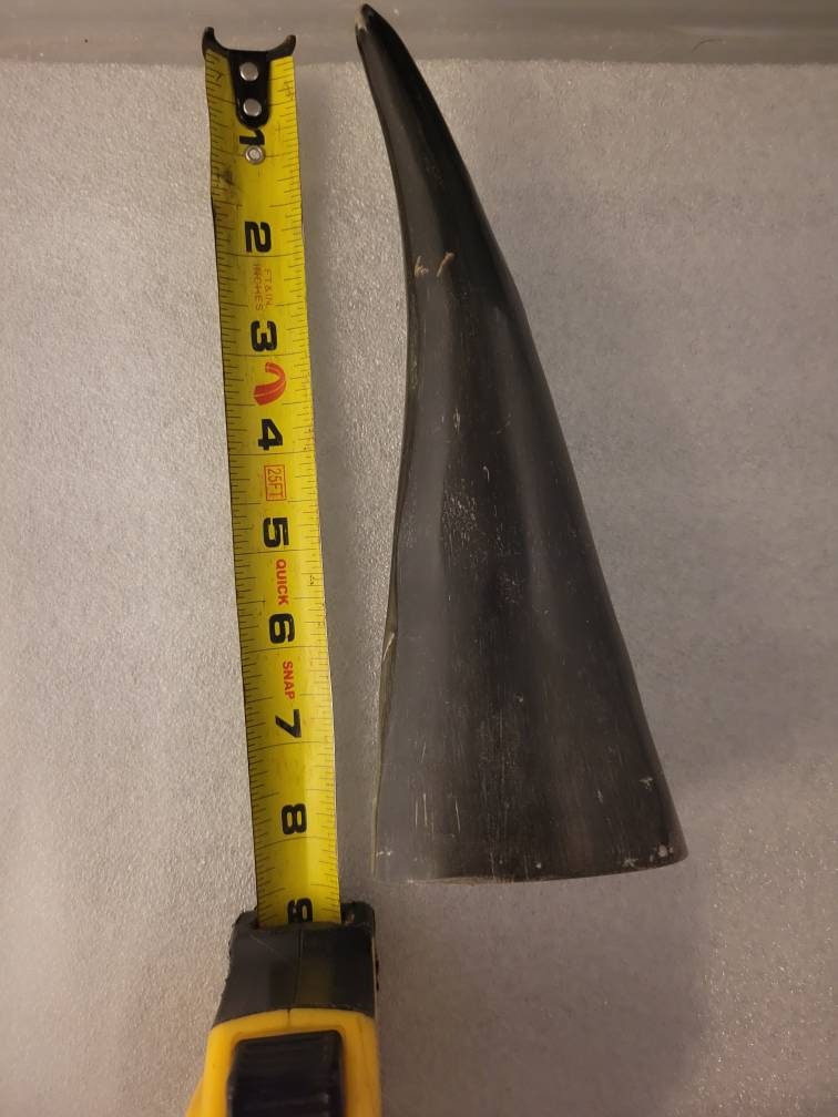 Tarros de Ogue para shango chango empaca Bull Horns 8+in