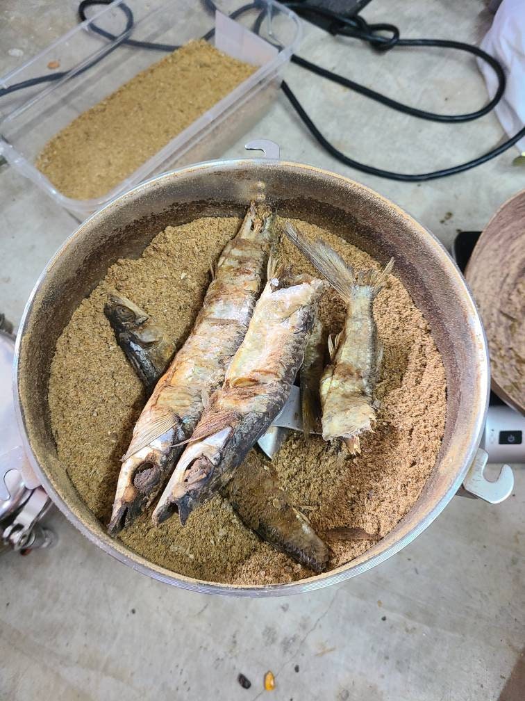Pescado Ahumado Molido 3oz 100% Santeria Osha Santo Ifa Palo Orishas