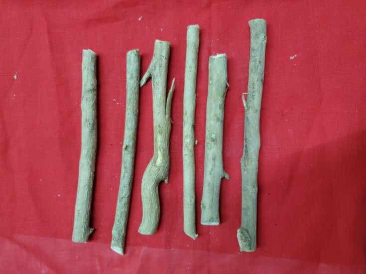 6 Palo ALEJO Santeria Palo Prenda