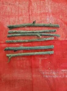 6 Palo Cambia Voz Santeria Palo Prenda