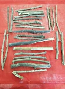 Carga de 32 Palos Santeria Ifa Osha Palo Egun