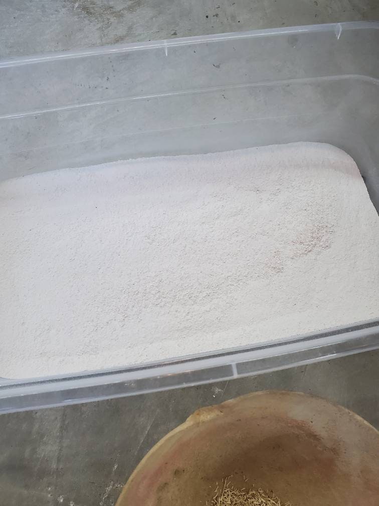 3 Cascarilla Preparada Efun Santeria Ifa Osha Palo Egun Santo Prenda