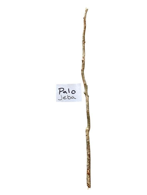 Palo JEBA Santeria Palo Prenda Ifa Caldero