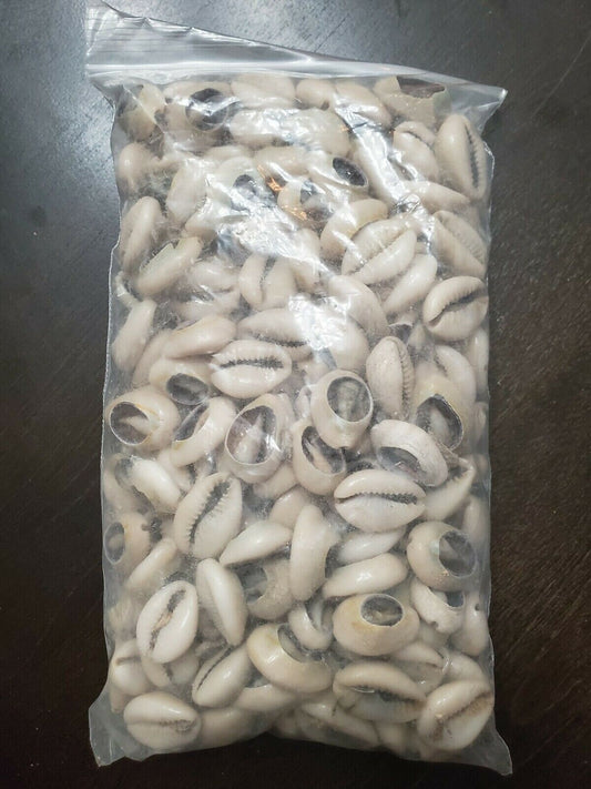 Bolsa de Caracoles Dilogun Cowrie shells 1lbs Religion Ifa Santeria Osha Orisha