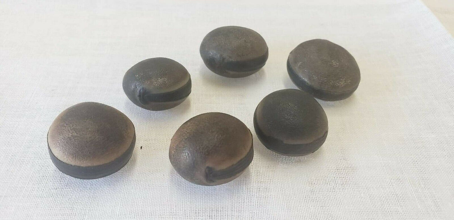 Semilla de Ojo De Buey religion yoruba ifa 6 pieces