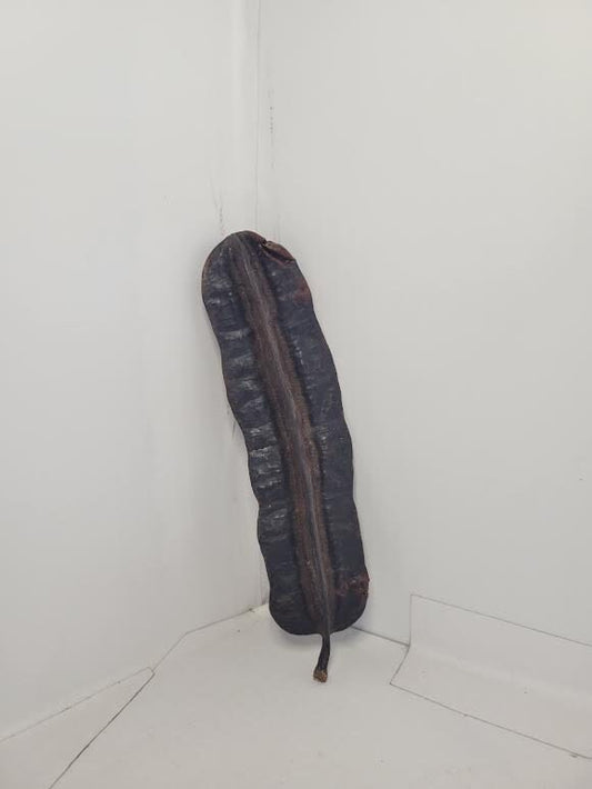 Ashe Aira Pod Santeria Ifa osha Palo Santo