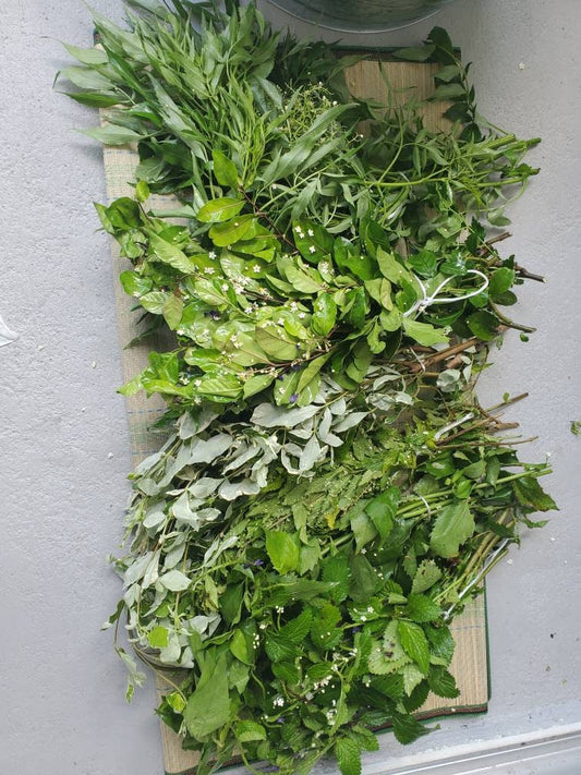 24 Bottles Cleansing Omiero Umiero with 7 Herbs Santeria Osha Palo Egun Ifa Orisha Yoruba