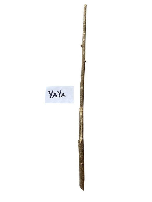 Palo YAYA Santeria Palo Prenda Ifa Caldero