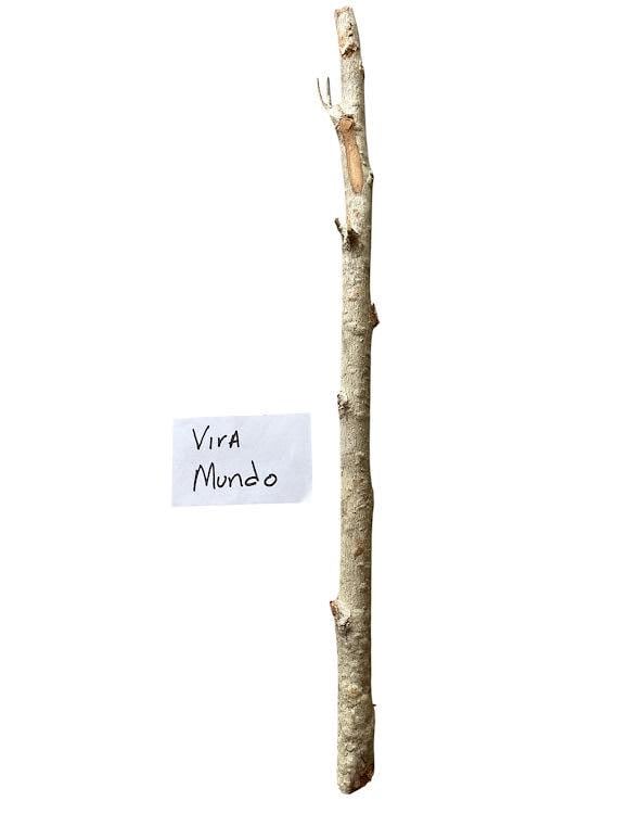 Palo VIRA MUNDO Santeria Palo Prenda Ifa Caldero