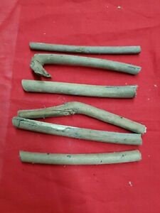 6 Palo Almendra Santeria Palo Prenda